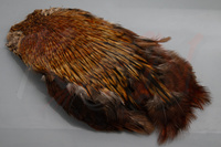 Natural Light Brown ||  v2