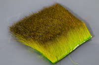 Chartreuse