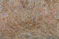 Sybai Nymph Supreme Dubbing - Tan