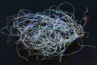 Tommi-Fly Smooth Shiny Body 14 Tan