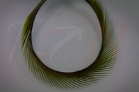 Federn Hareline Stripped Goose Biots Olive