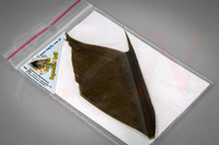 Pióra Top Fly Peacock Segmented Quill Cinnamon