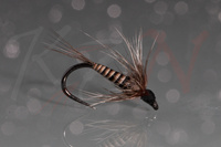 Wet Fly Quill #14 RW01