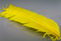 Federn Hareline Turkey Biot Quills Yellow Truthahn Flügelfeder
