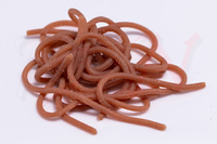 Spirit River Squirmy Wormies - Earthworm Tan SWRM198