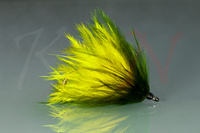 Mucha Algae na rybę Pacu