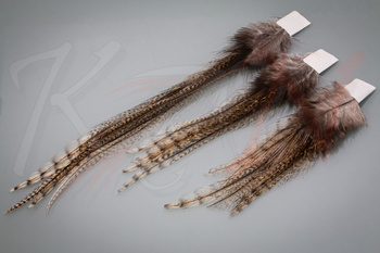 Pióra KN Fly Coq de leon feathers