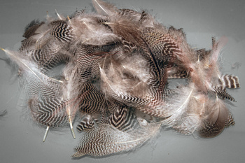 Pióra Veniard Teal Flank Feathers mixed sizes