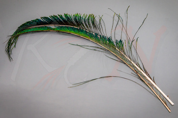 Pióra mieczowe pawia Veniard Peacock Sword tails